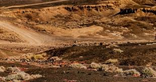 库里对阵快船上脚了坎迪斯帕克的Crazy Light、AJ4 以及保罗的球鞋